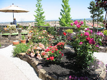 Roses and a Great View