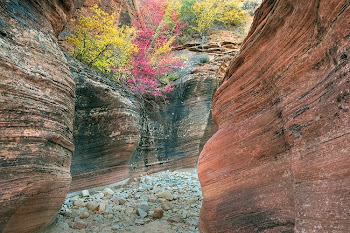 Small Canyon Fall Color