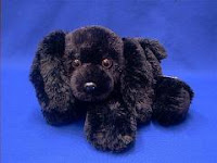 Toy+dog+breeds+that+don