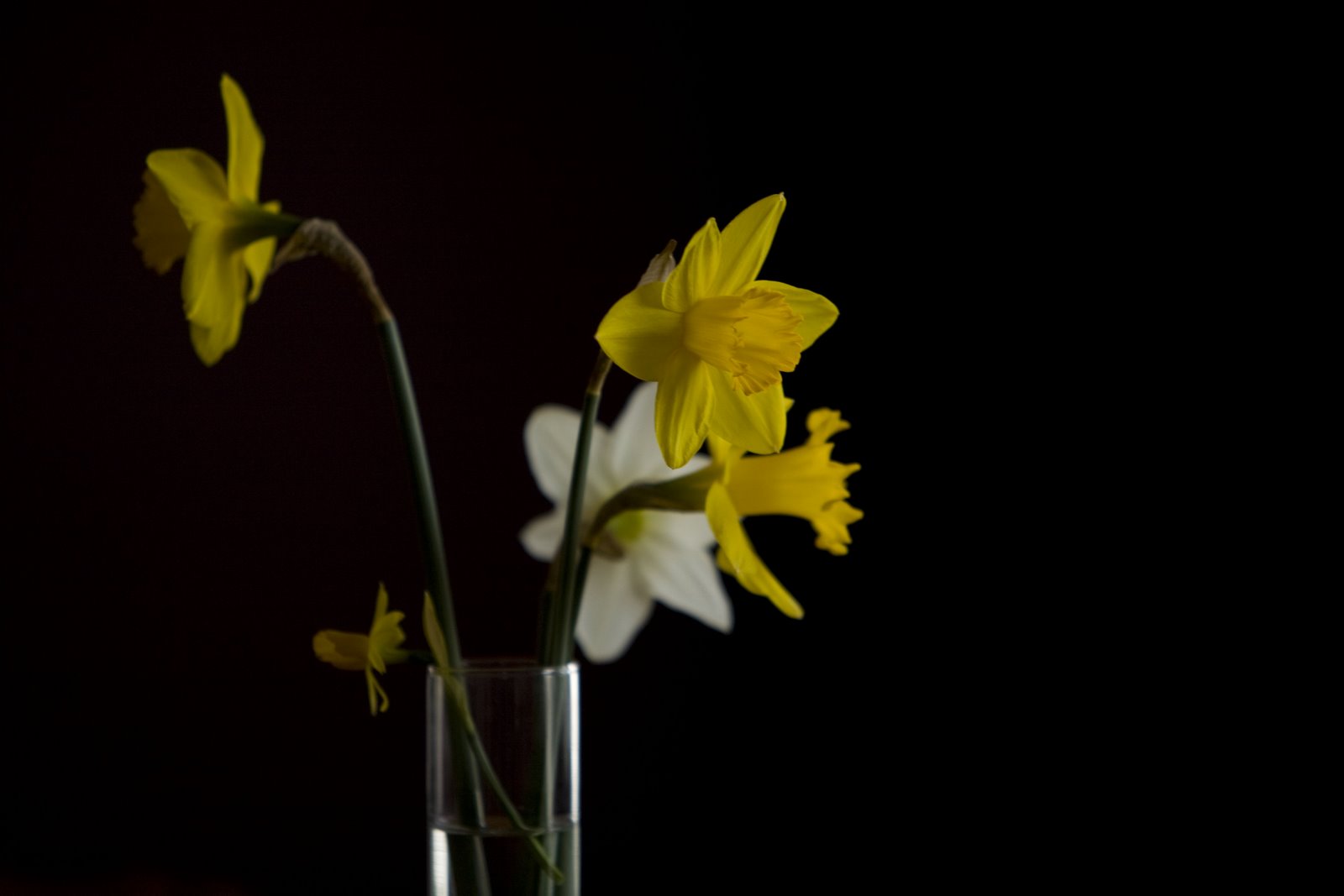 [2396087175_b2e8db0710_o.jpg]