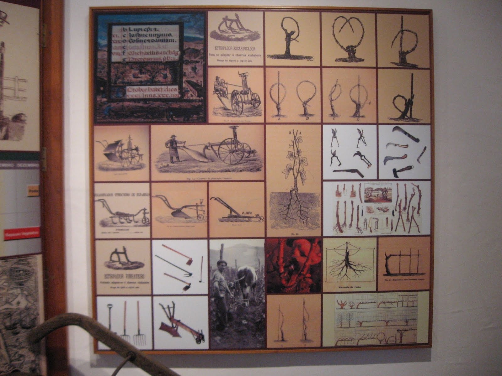 [MonteSeisReis4.JPG]