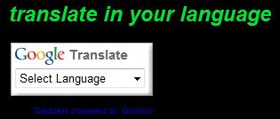 google translate