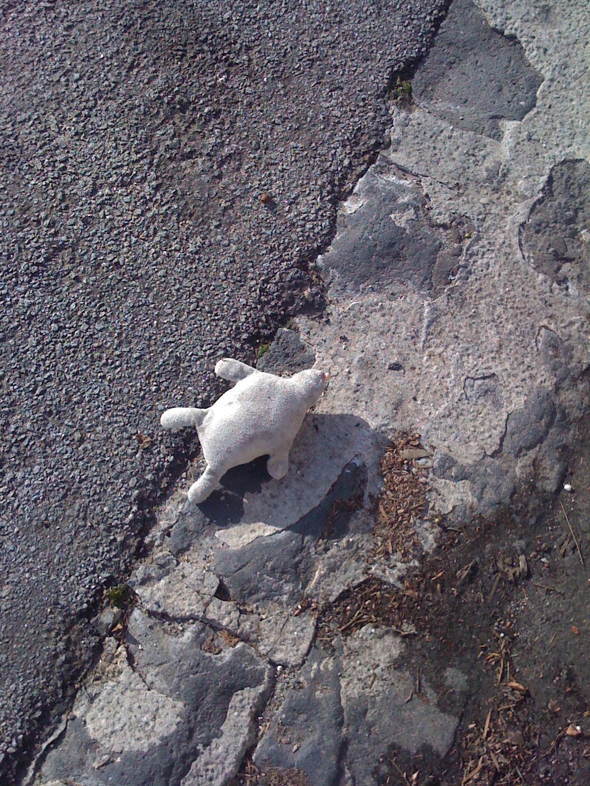 [IMG_0525.JPG]