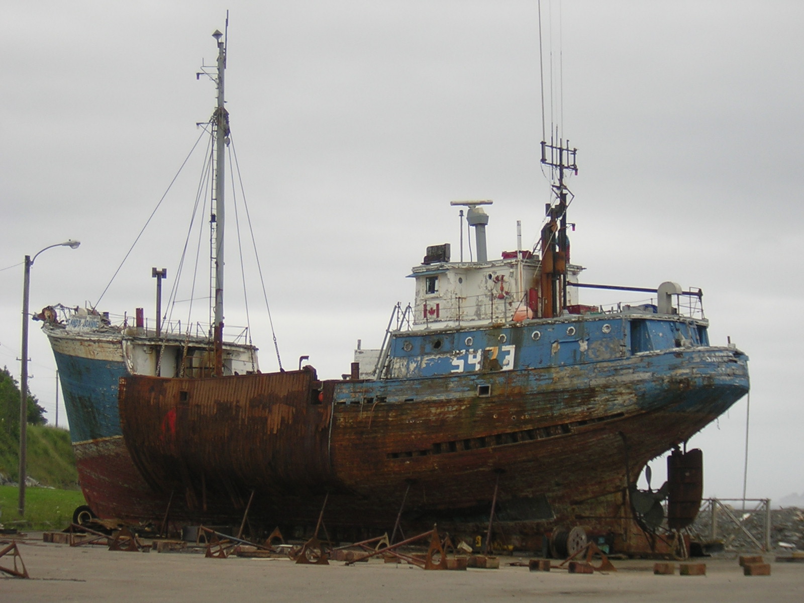 Rook's Nest Harbour Grace