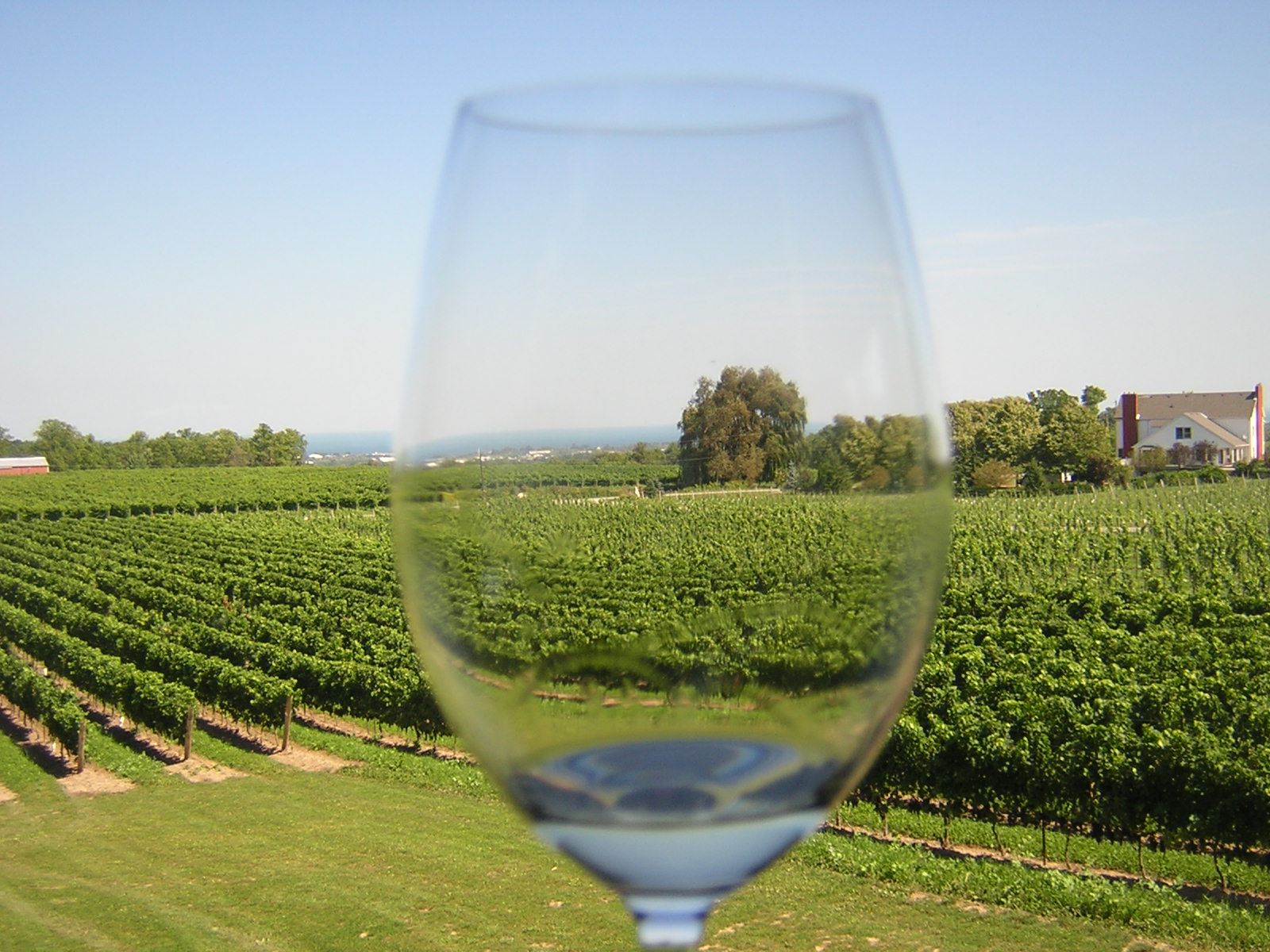 All Beautiful Pictures