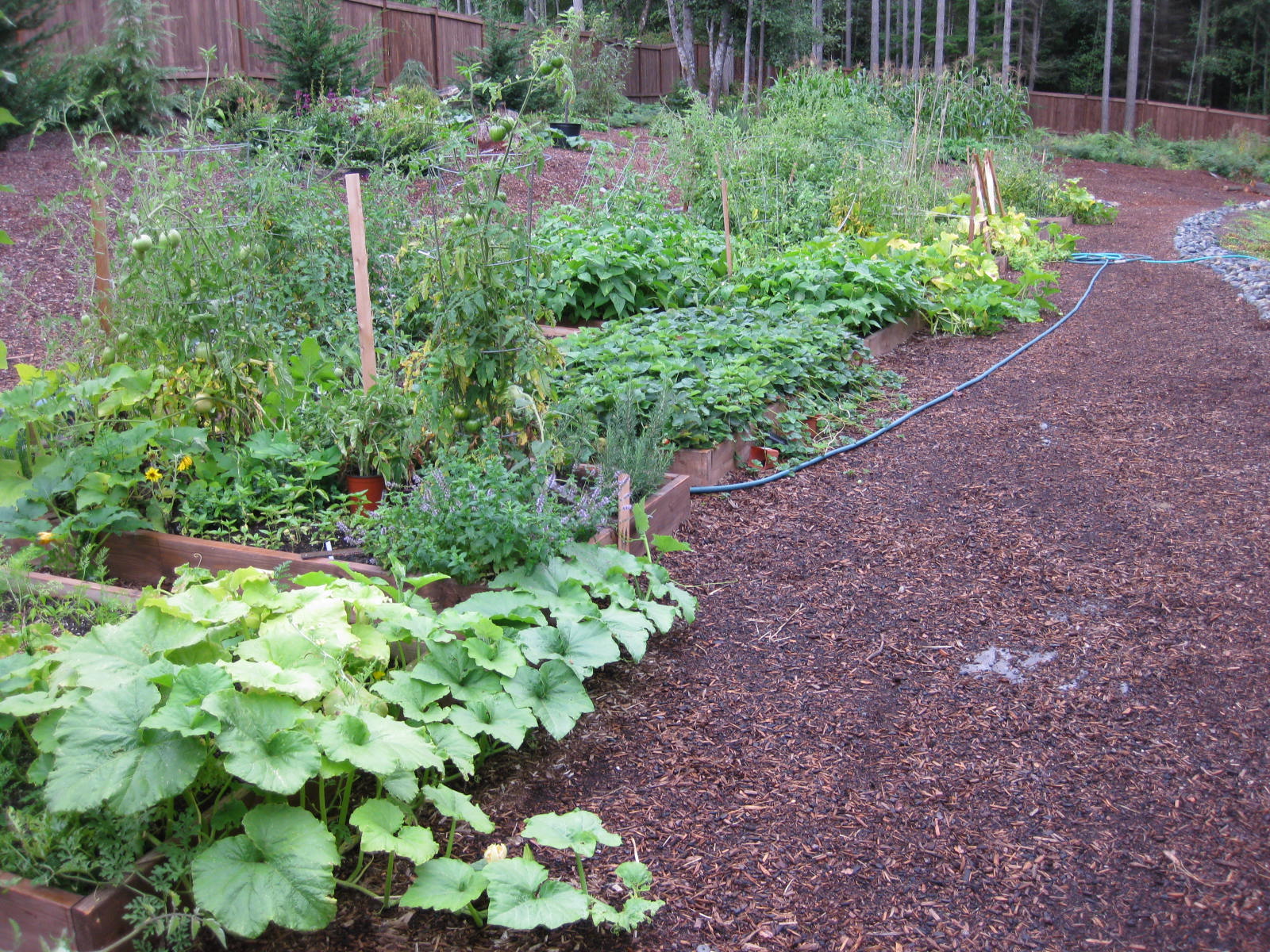 View from the garden Gate Sept . 4 2009