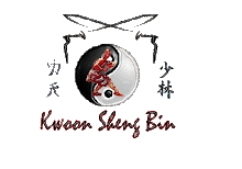 KUNG FU 5 ANIMALES GUADALAJARA