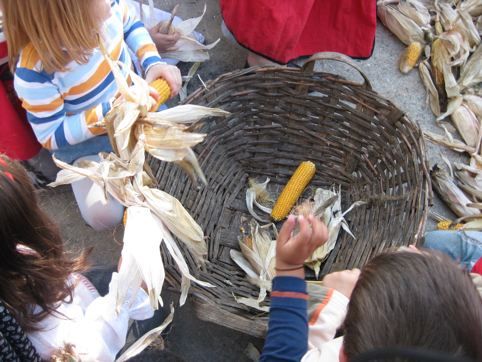 [IMG_1042.JPG]