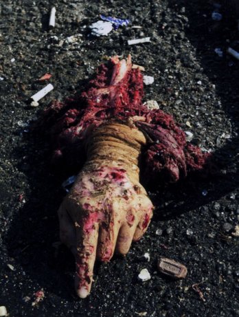 [main+todd+maisel.jpg]