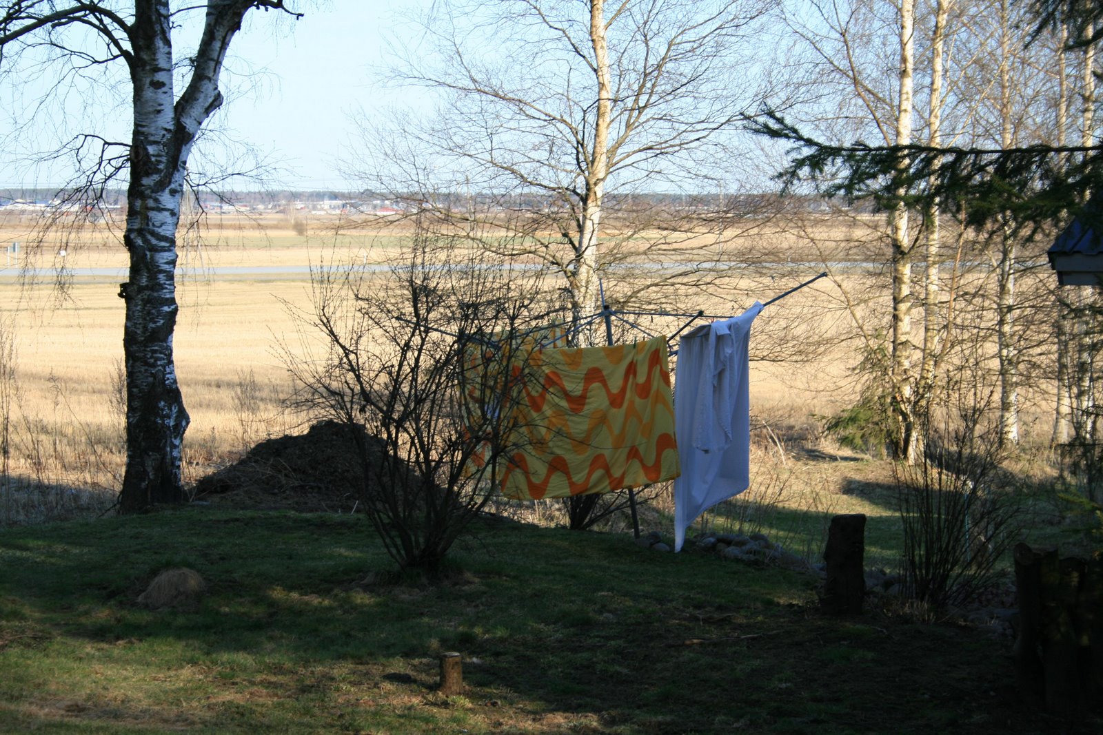 [IMG_4709.JPG]