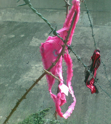 Tanga Sexy Rosa e Tanga Sexy Vermelha