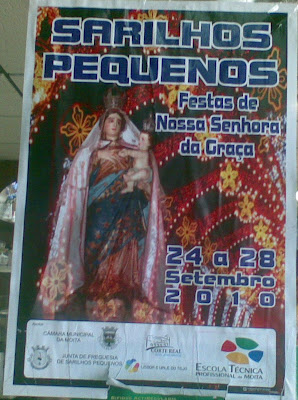 Cartaz de Sarilhos Pequenos 2010