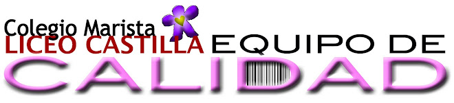 Colegio Marista Liceo Castilla. Equipo de Calidad