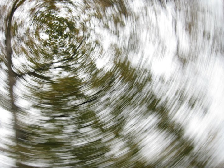 swirling tree