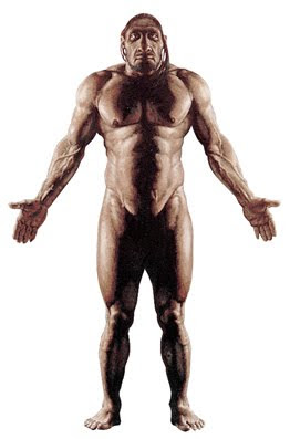 To+what+extent+did+neanderthals+and+modern+humans+interact