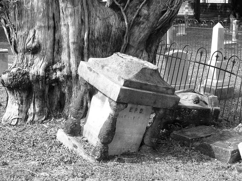 Гробището St. Louis  MONOCHROME_St+Louis+Cemetery_Headstone+and+tree