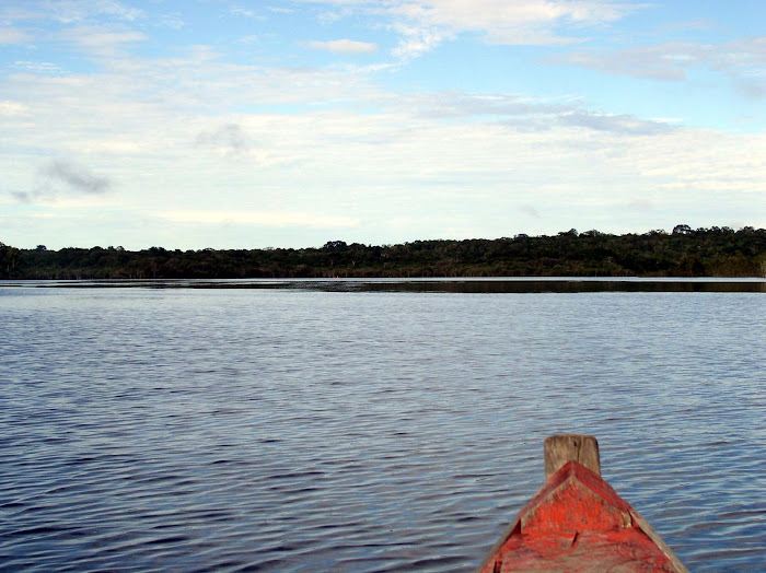 RIO PRETO  VERDADEIRO PARAÍSO  AMAZÔNICO