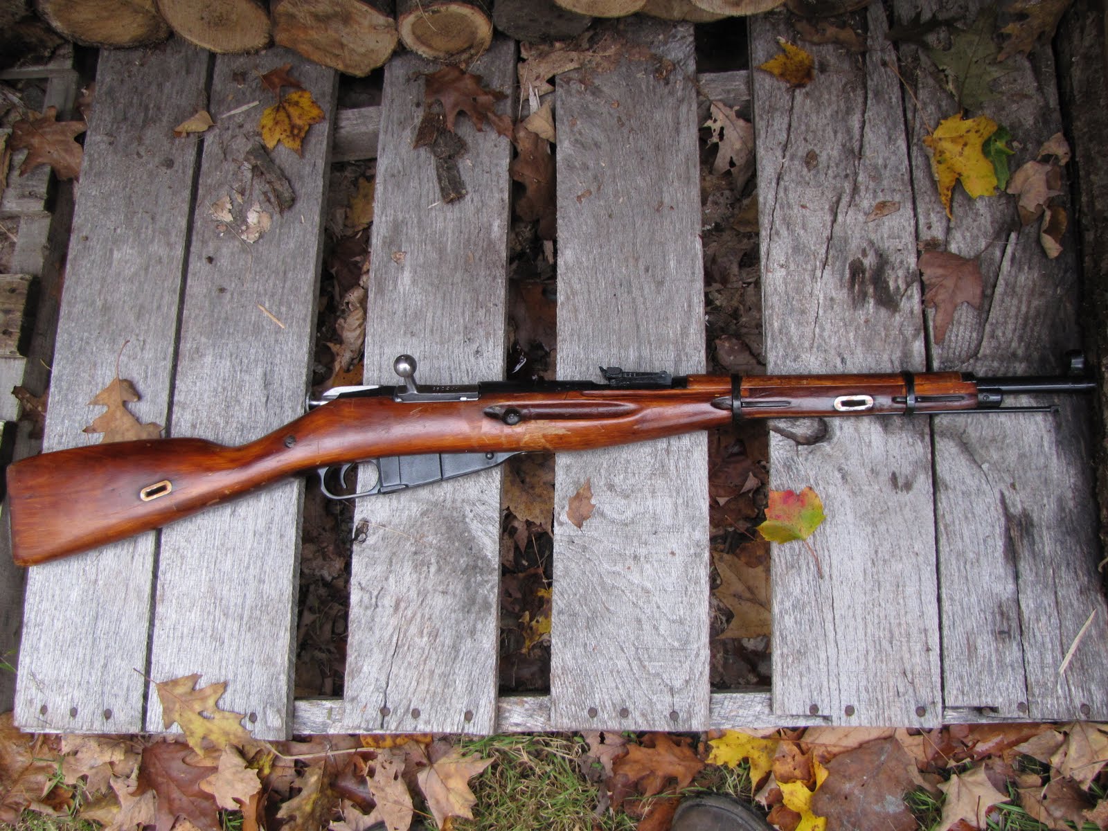 Mosin Gun