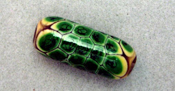 Turtle shell bead