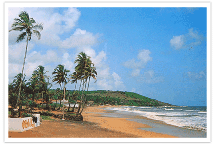 [beachdiu.gif]