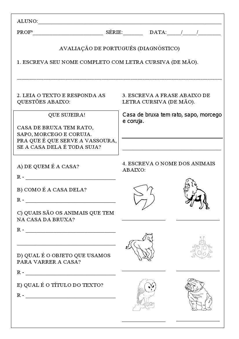 Atividades diagnósticas Matemática 5º ano - Loja da Coruja Pedagógica