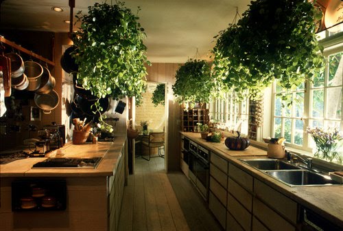 Feng Shui For Kitchen Feng Shui For Kitchen