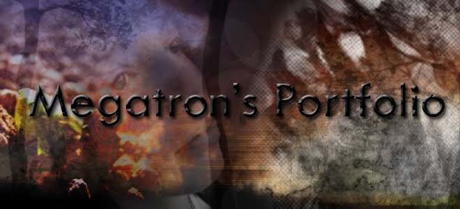 Megatron's Portfolio