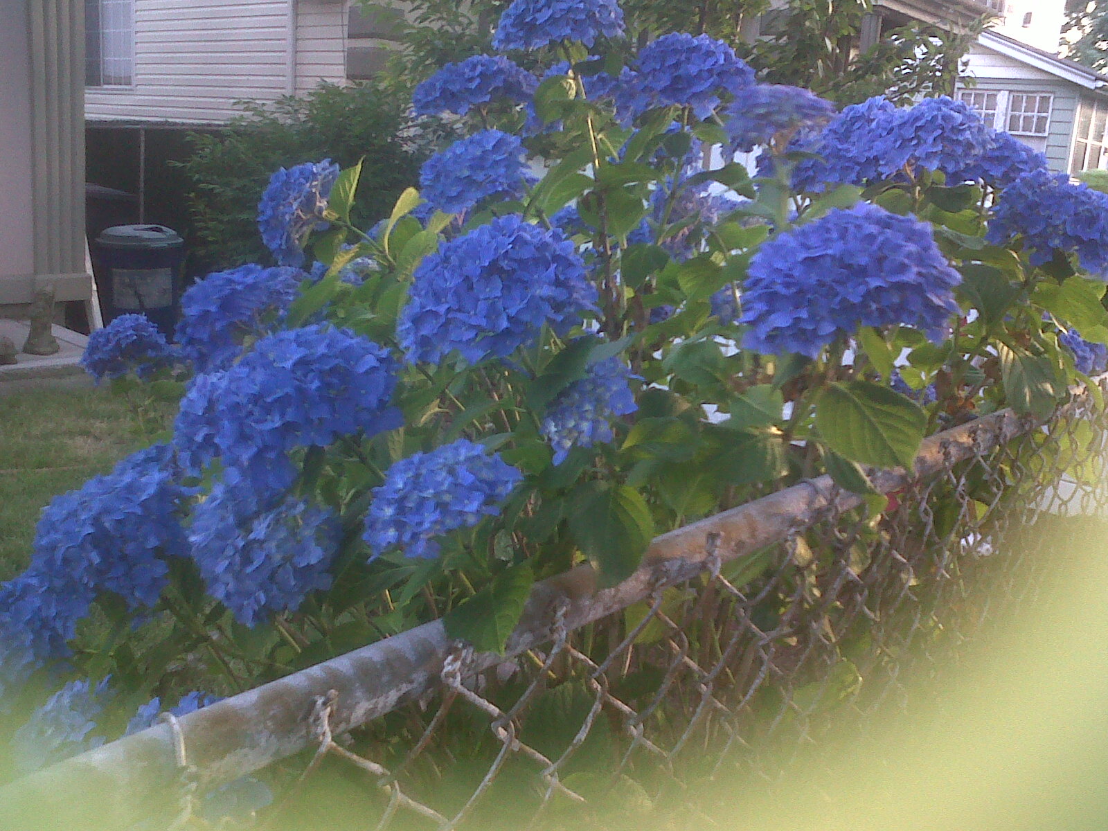 The Audacious Summer!!!