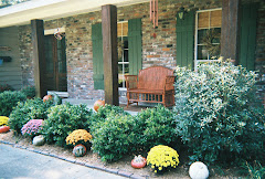 Our House - Fall 2008