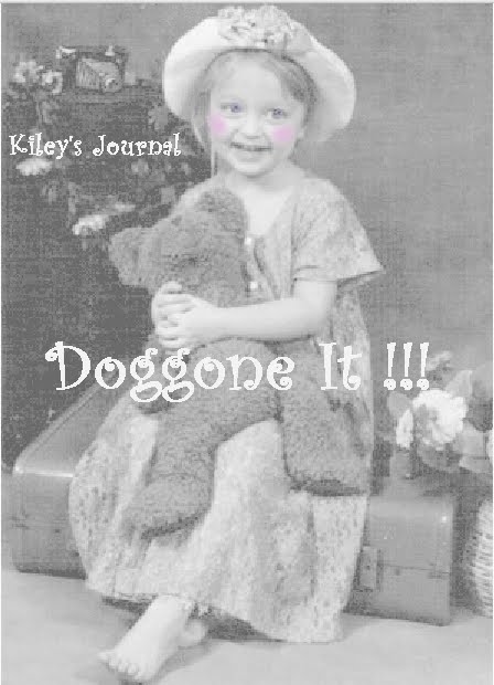 Doggone It!