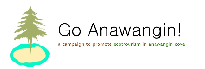 Anawangin Cove Ecotourism