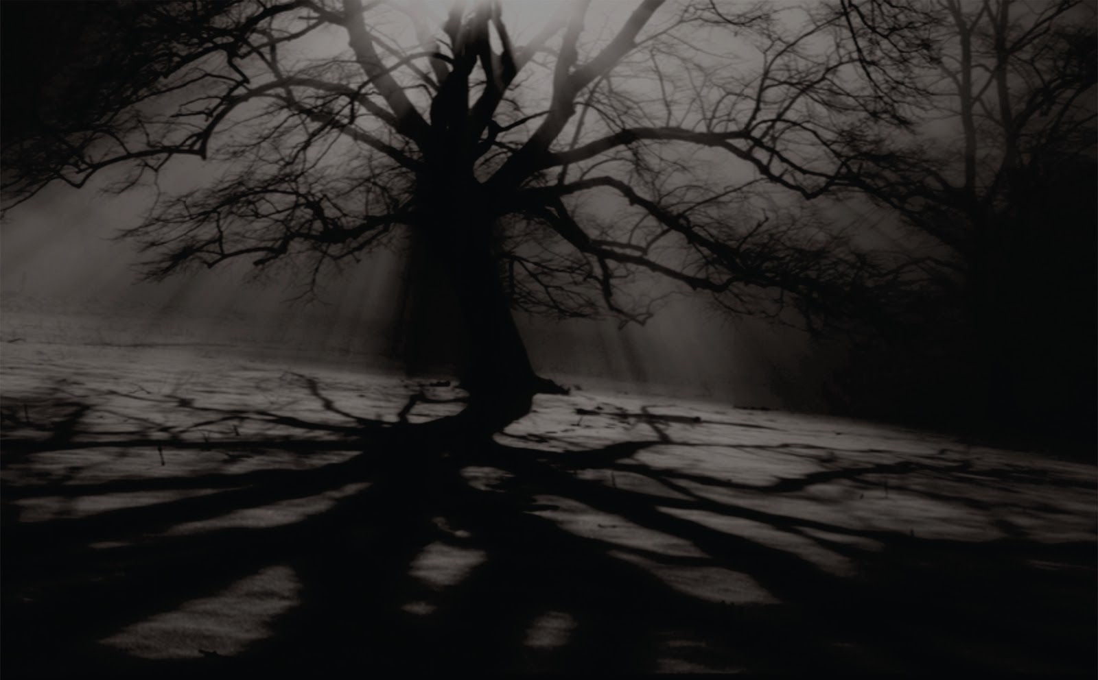 The Path of Shaballa: Clairvoyant Readings and Energy Attachments