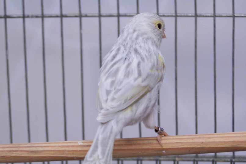 [AG+OP+AM+MS+FM.jpg]