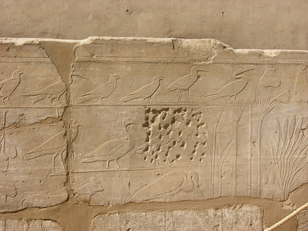 [karnak0334.JPG]