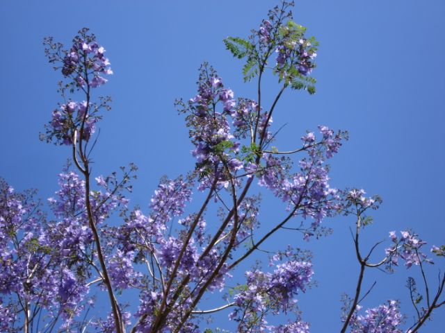 [DSC04782.JPG]