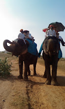 Our First Elephant Safari, Jaipur India