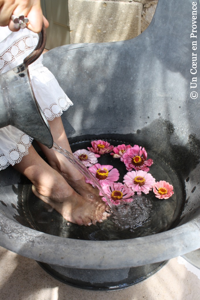 Bain de pieds et fleurs de Zinnias