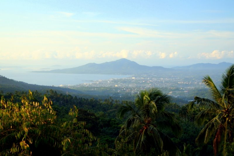 [Picture+053.jpg]