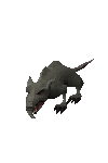 [giantrat2.gif]