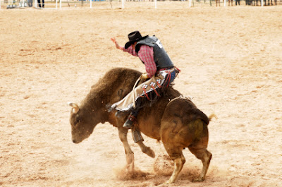 bull+riding.jpg