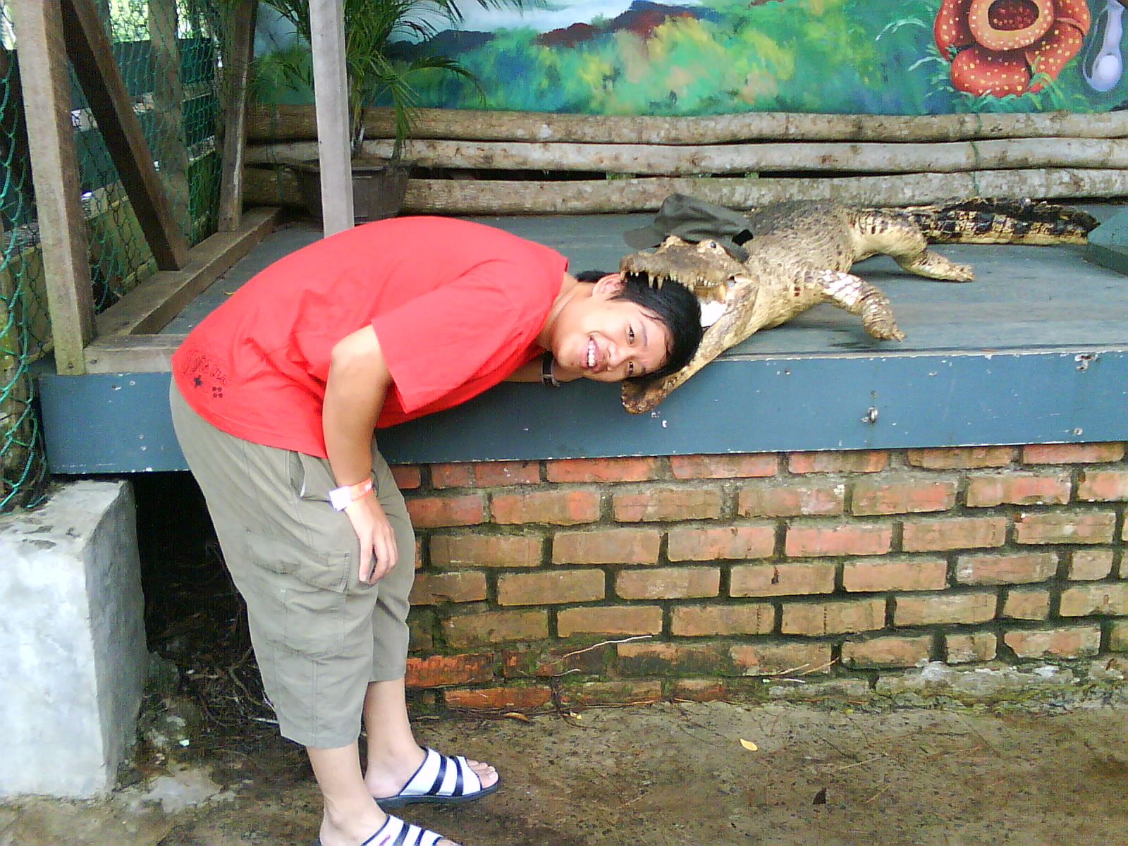 [DSC01762.JPG]