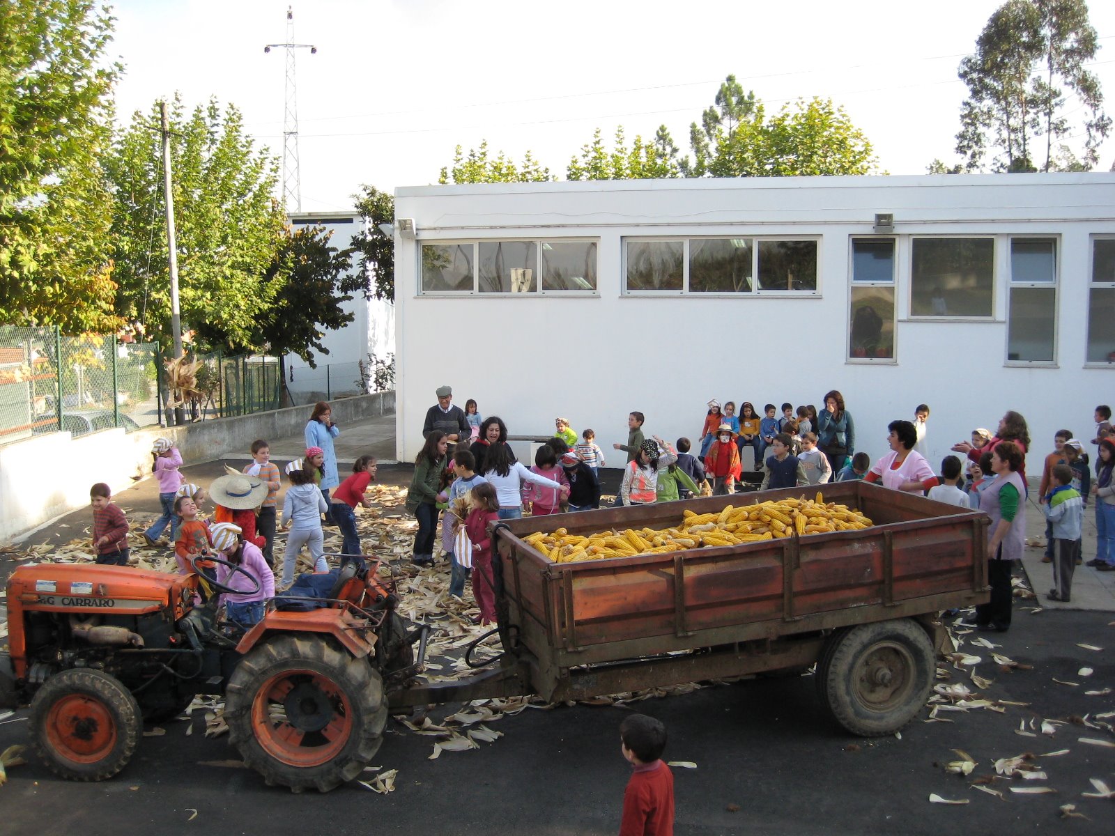 [desfolhada2008+016.jpg]