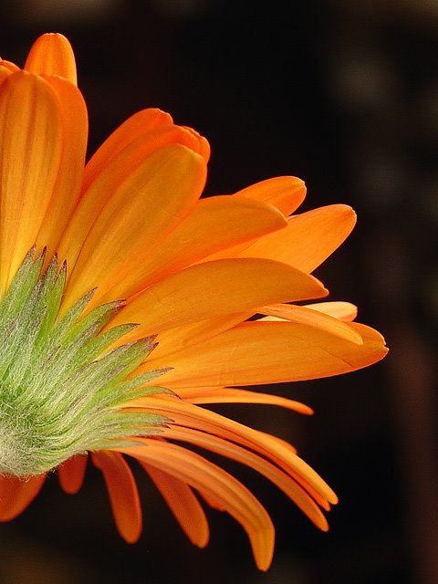 [itsyourstakeit.jpeg]