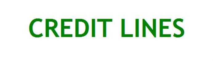 E 1 Credit Lines