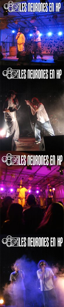 LES NEURONES EN HP