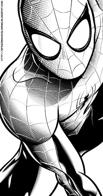 Spiderman Coloring Spiderman Colouring Pages