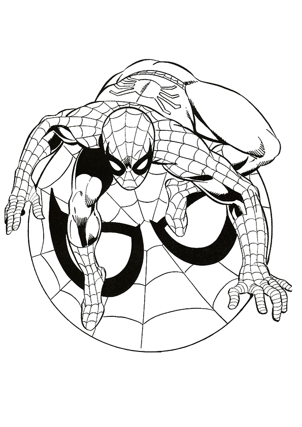 SPIDERMAN COLORING: SPIDERMAN COLORING PICTURES