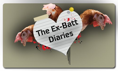 The Ex-Batt Diaries