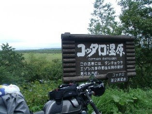 コッタロ湿原