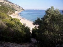 Galapinhos Beach